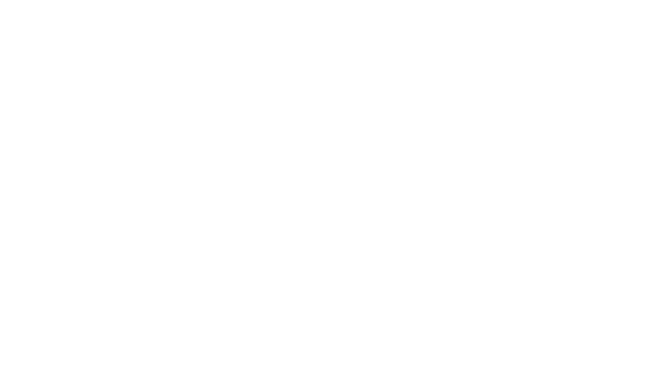 Segi Logo